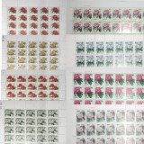 T162杜鹃花整版票