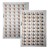 J184徐向前同志诞生九十周年整版票