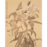 贾广健《百合》  41×32cm