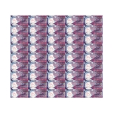 香港10元塑料整版钞