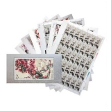 《梅花》小全套